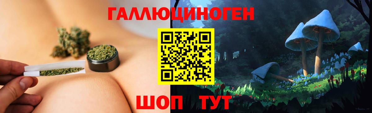 Псилоцибиновые грибы мухоморы Кизилюрт